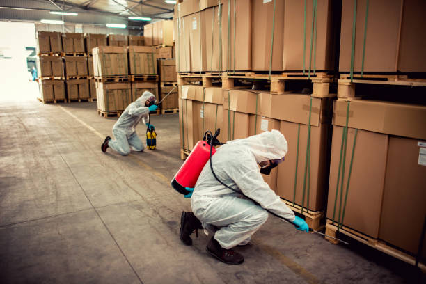 Best Affordable Pest Control Services  in South Duxbury, MA