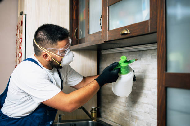 Best Cockroach Control Services  in South Duxbury, MA