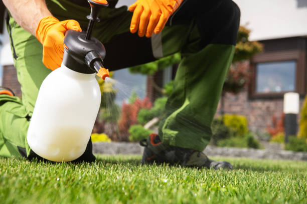 Best Pest Prevention Services  in South Duxbury, MA