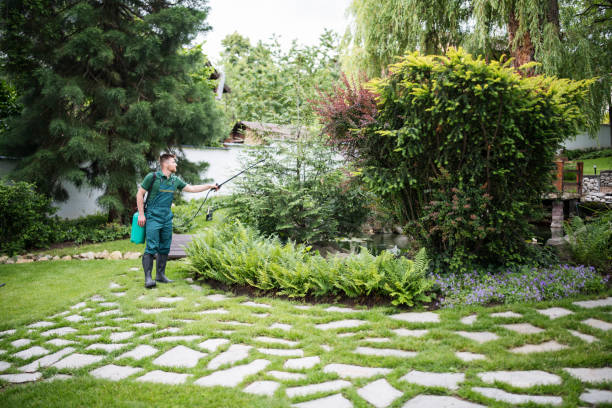 Best Exterminator Services  in South Duxbury, MA