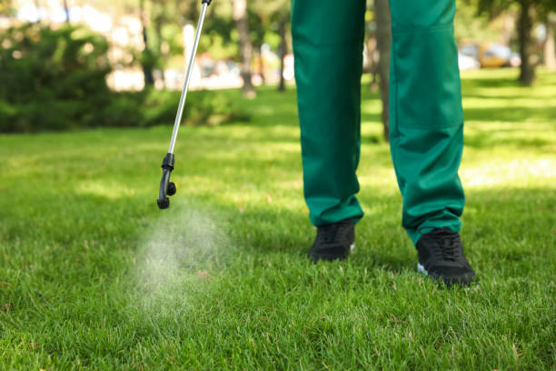 Best Flea Control Services  in South Duxbury, MA