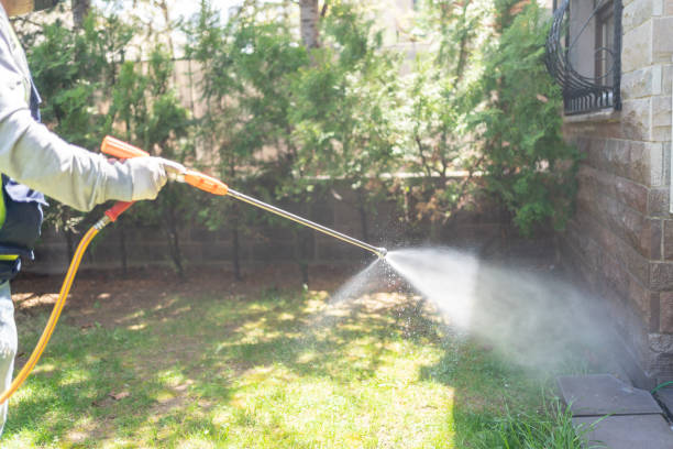Wasp Removal Services in South Duxbury, MA
