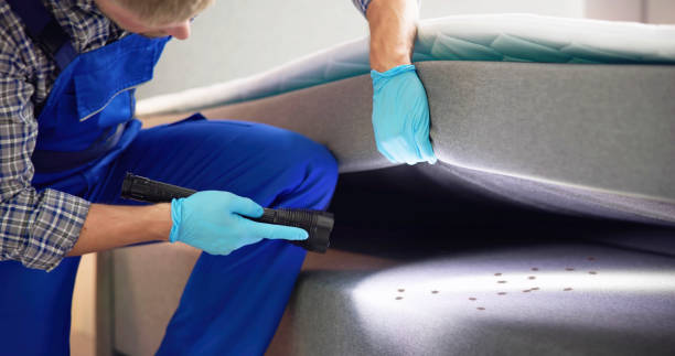 Best Emergency Pest Control  in South Duxbury, MA