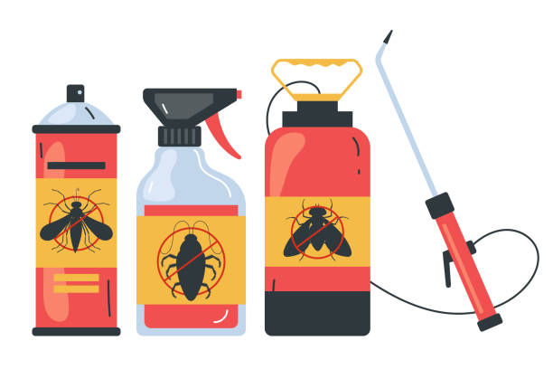 Best Bed Bug Extermination  in South Duxbury, MA