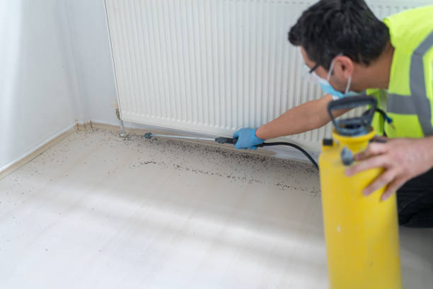 Reliable South Duxbury, MA Pest Control Solutions